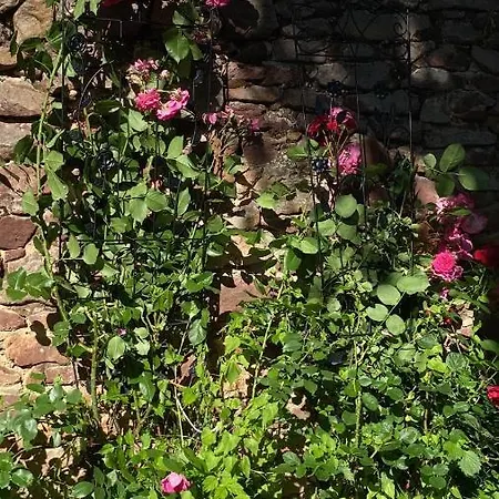 Casa de hóspedes Kemencésház Apartman *