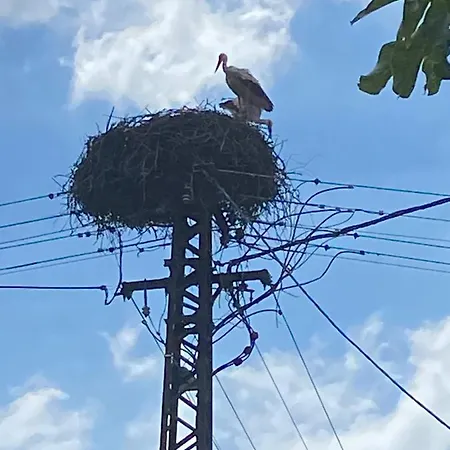 Kemenceshaz Apartman