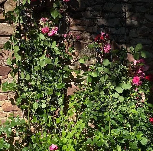 בית הארחה Kemenceshaz Apartman *