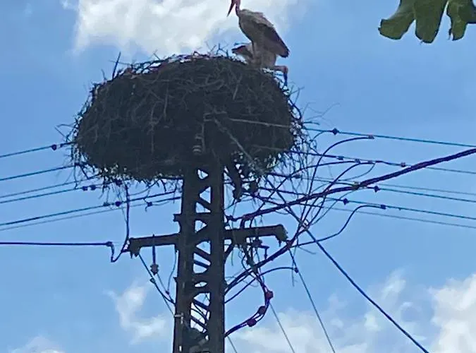 Kemencésház Apartman